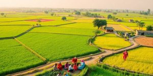 Peisaj rural cu comunitate și activități agricole tradiționale.