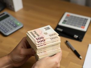 Bani, grafice, creștere, soluții, buget, România, economie